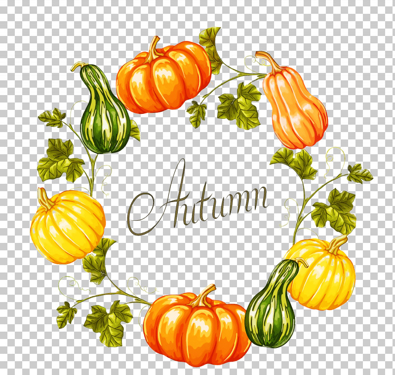 Thanksgiving Autumn Harvest PNG, Clipart, Autumn, Calabash, Calabaza, Cucurbita Maxima, Field Pumpkin Free PNG Download