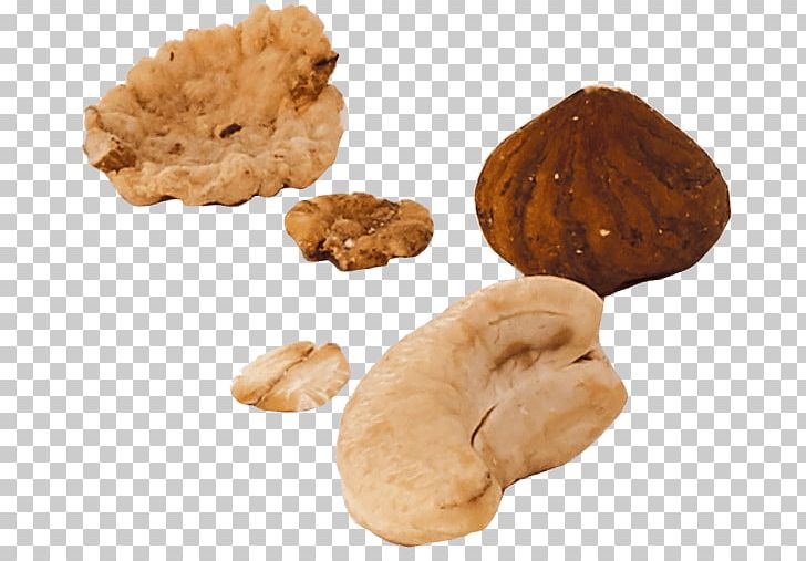 Farmers Land Food GmbH Walnut Experience Knowledge PNG, Clipart, Experience, Food, Fruit Nut, Ingredient, Knowledge Free PNG Download