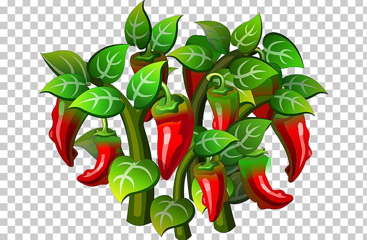 Birds Eye Chili Cayenne Pepper Tabasco Pepper Chili Pepper PNG, Clipart, Bell Peppers And Chili Peppers, Birds Eye Chili, Capsicum, Capsicum Annuum, Christmas Free PNG Download