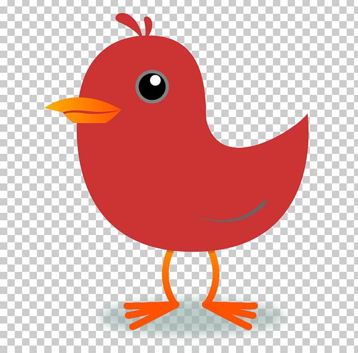Bird Northern Cardinal PNG, Clipart, Beak, Bird, Blog, Blue, Chicken Free PNG Download