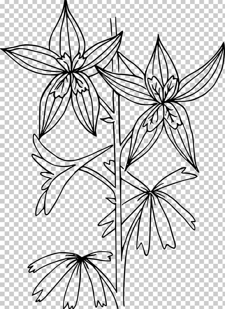 Coloring Book Flower Delphinium Nuttallianum Drawing PNG, Clipart, Adult, Area, Black And White, Branch, Color Free PNG Download