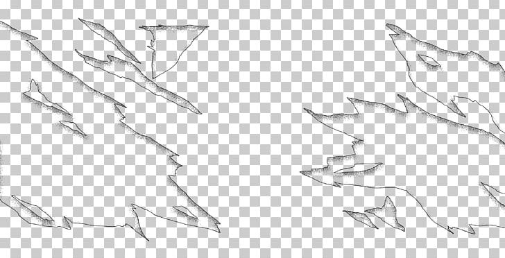 Drawing Line Art Sketch PNG, Clipart, Angle, Area, Artwork, Black And White, Branch Free PNG Download