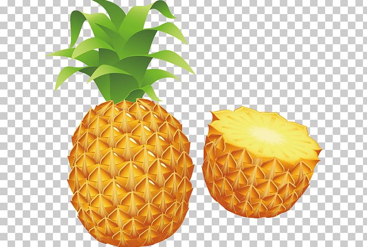 Pineapple Stock Photography PNG, Clipart, Apple Fruit, Bromeliaceae, Drawing, Food, Fruit Free PNG Download