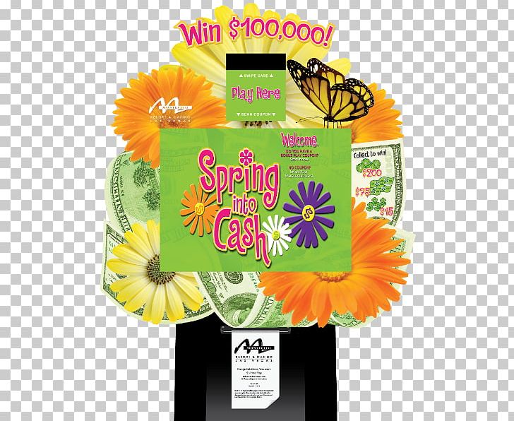 Cut Flowers EPUB English Marigold Sunflower M E-book PNG, Clipart, Book, Calendula, Cut Flowers, Daisy Family, Ebook Free PNG Download