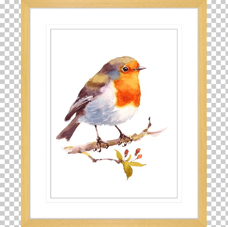 European Robin Bird Watercolor Painting Drawing PNG, Clipart, Art, Beak, Bird, Branch, Canvas Print Free PNG Download