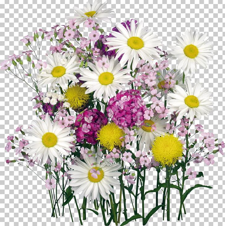Flower Bouquet Desktop PNG, Clipart, Annual Plant, Artificial Flower, Aster, Camomile, Daisy Free PNG Download