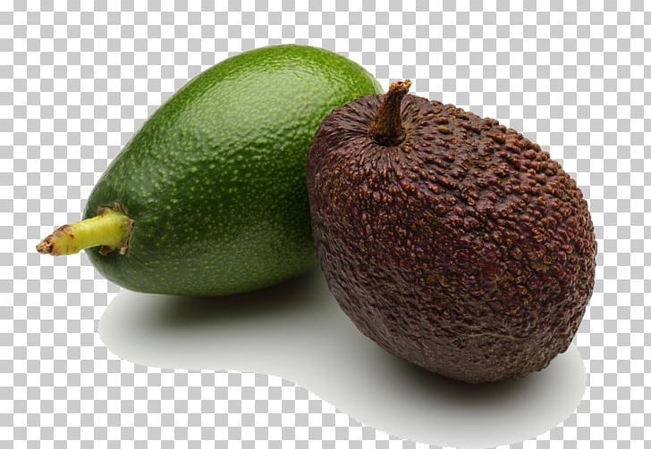 Kiwifruit Avocado Auglis PNG, Clipart, Apple Fruit, Auglis, Avocado, Background Black, Black Free PNG Download