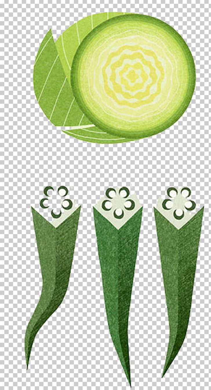 Okra Vegetable Painting Illustration PNG, Clipart, Cabbage, Cabbage Vector, Drawing, Encapsulated Postscript, Food Free PNG Download