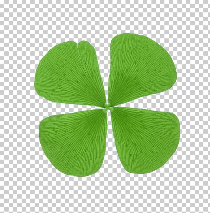 Creativity Clover Shamrock PNG, Clipart, Clover Creative, Clover Petals, Creative Ads, Creative Artwork, Creative Background Free PNG Download