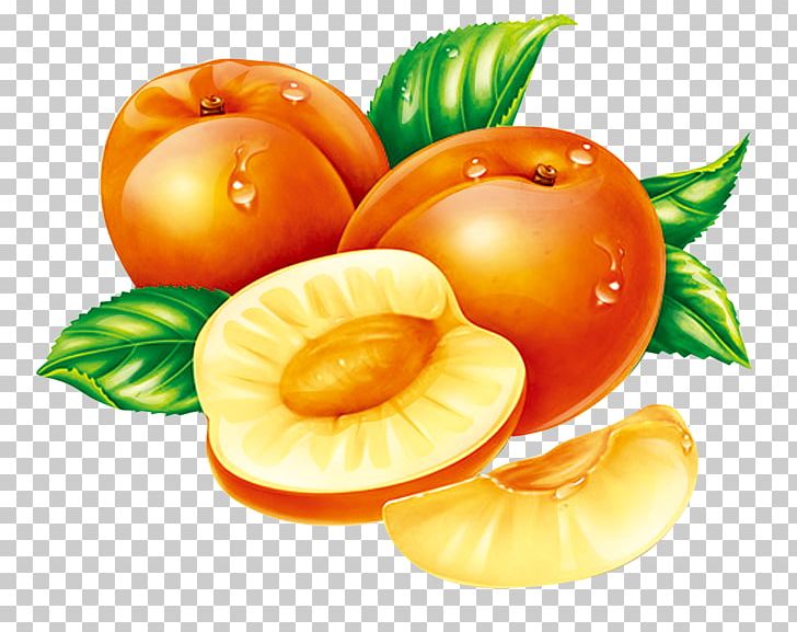 Fruit Dangshan County Apricot Peach Auglis PNG, Clipart, Auglis, Carotene, Dangshan County, Designer, Diet Food Free PNG Download