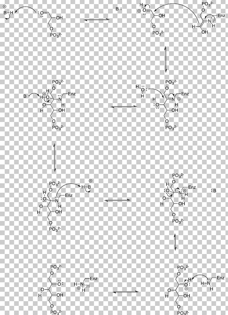 Line Drawing Point Angle /m/02csf PNG, Clipart, Angle, Area, Art, Black And White, Diagram Free PNG Download