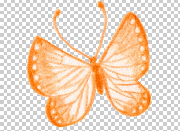 Monarch Butterfly Nymphalidae Petal Danaus PNG, Clipart, Blue Butterfly, Brush Footed Butterfly, Butterflies, Butterfly, Butterfly Group Free PNG Download
