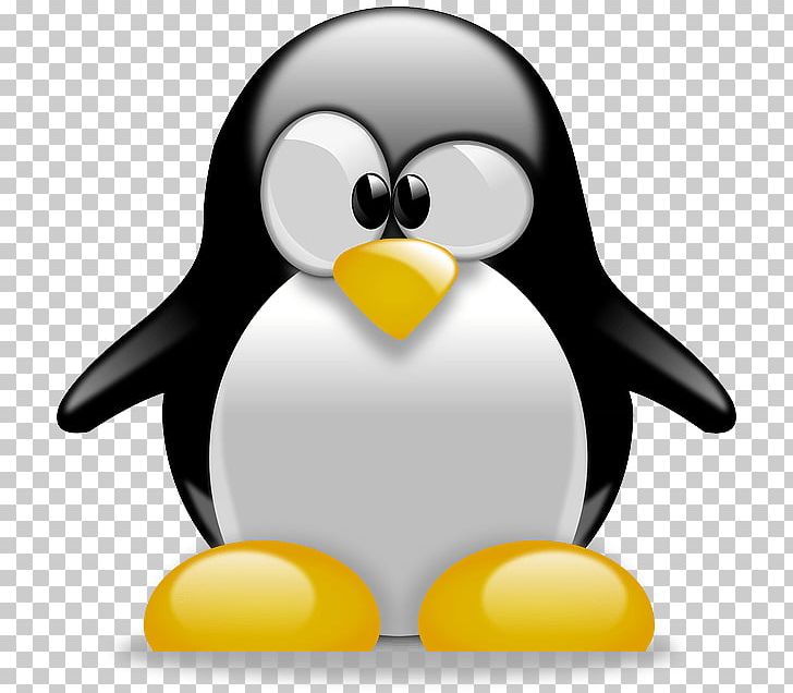 Penguin Cartoon PNG, Clipart, Beak, Bird, Blog, Clip Art, Computer Wallpaper Free PNG Download