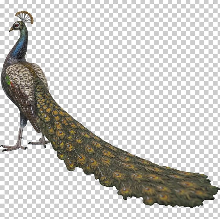 Bird Feather Galliformes Beak Tail PNG, Clipart, Animals, Beak, Bird, Feather, Galliformes Free PNG Download