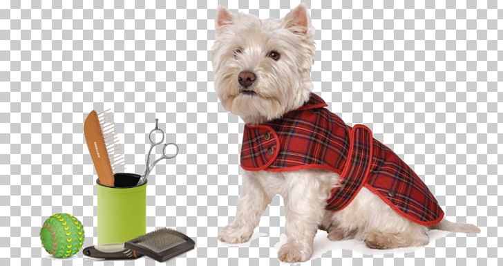 Dog Breed West Highland White Terrier Puppy Tartan Coat PNG, Clipart, Animals, Carnivoran, Clothing, Coat, Companion Dog Free PNG Download