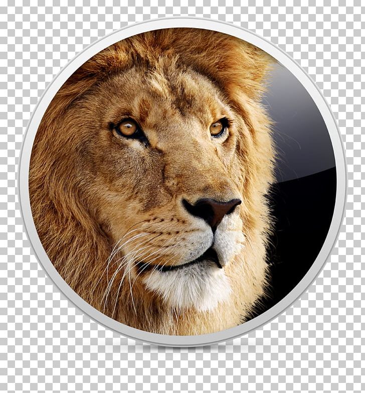 Mac OS X Lion MacOS Apple PNG, Clipart, Apple, Apple Pen, Big Cats, Carnivoran, Cat Like Mammal Free PNG Download