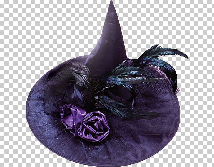 Witch Hat Feather Purple Costume PNG, Clipart, Animals, Black, Black Rose, Corset, Costume Free PNG Download