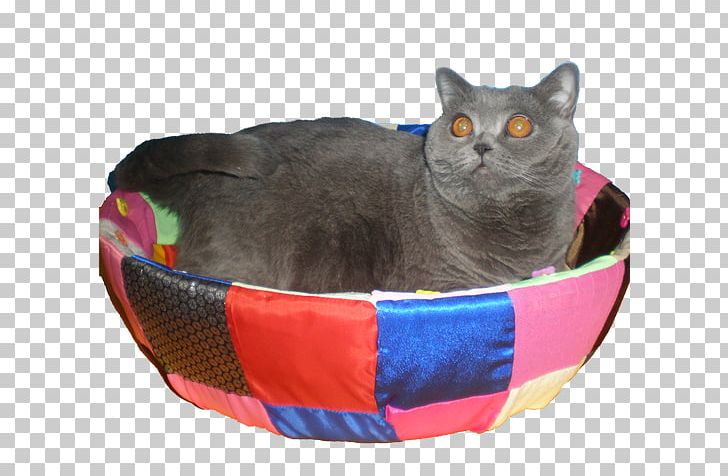 Chartreux British Shorthair Domestic Short-haired Cat British Longhair Whiskers PNG, Clipart, British Longhair, Carnivoran, Cat, Cat Bed, Cat Like Mammal Free PNG Download