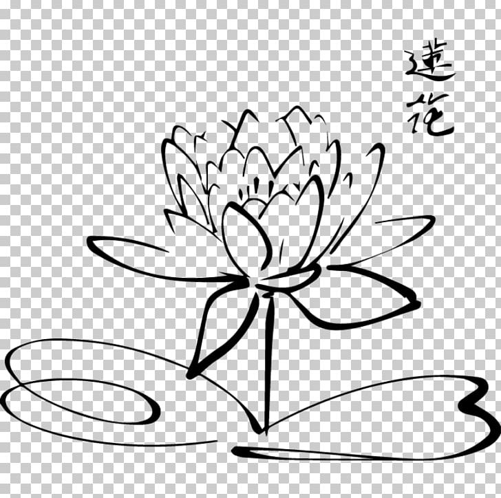 Drawing Nelumbo Nucifera PNG, Clipart, Art, Artwork, Black, Black And White, Black Rose Free PNG Download