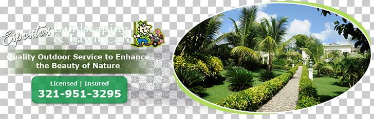 Esposito's Landscaping & Lawn Malabar Melbourne Palm Bay PNG, Clipart,  Free PNG Download