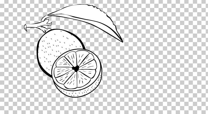 Line Art Bicycle Wheels Sketch PNG, Clipart, Angle, Animal, Area, Art, Artwork Free PNG Download