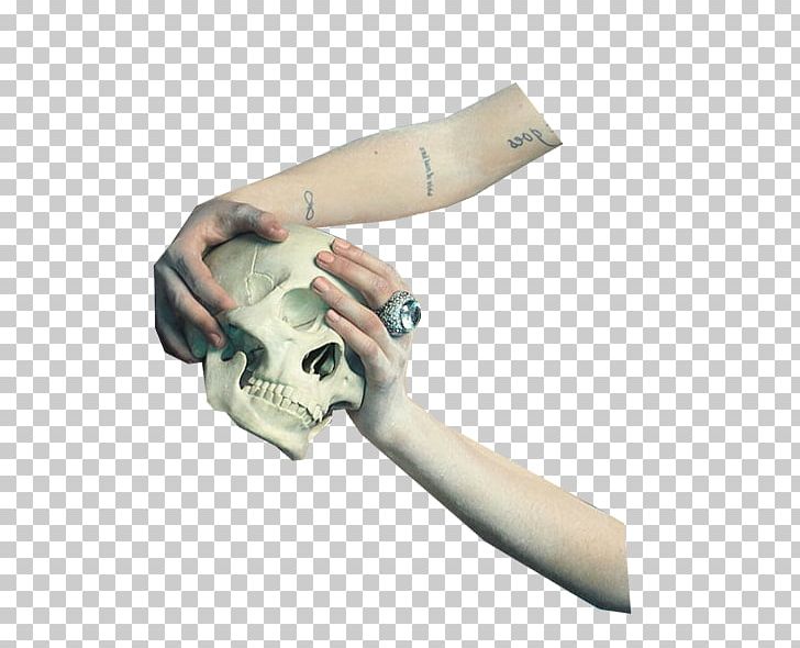 Skull Skeleton Euclidean PNG, Clipart, Angle, Cranial, Cranial Skeleton, Decadent, Designer Free PNG Download