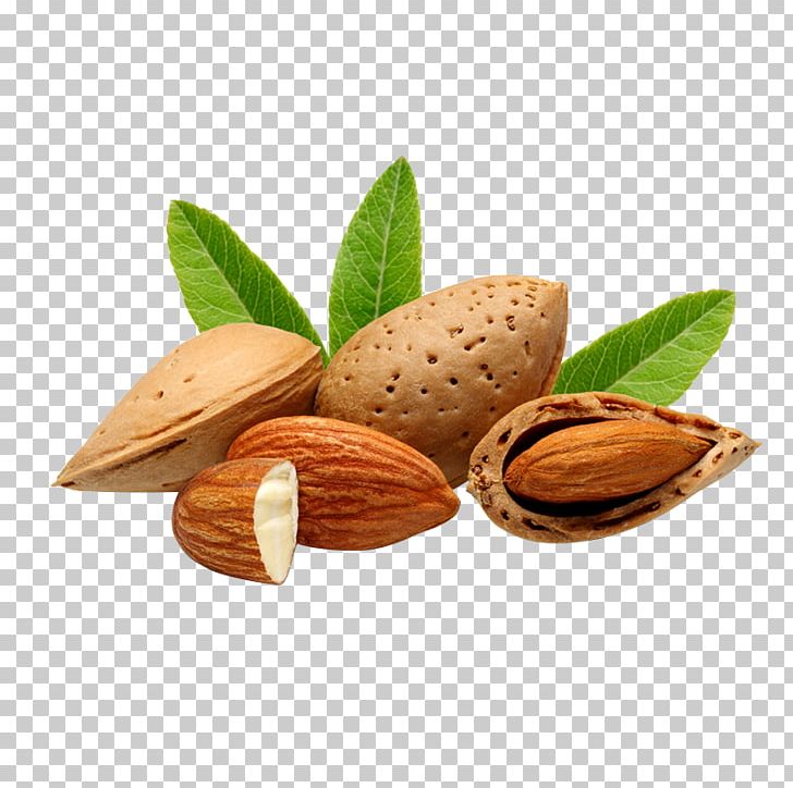 Bajaj Almond Drops Hair Oil Nut Bajaj Almond Drops Hair Oil Food PNG, Clipart, Almond Butter, Apricot, Carrier Oil, Dried Fruit, Extract Free PNG Download