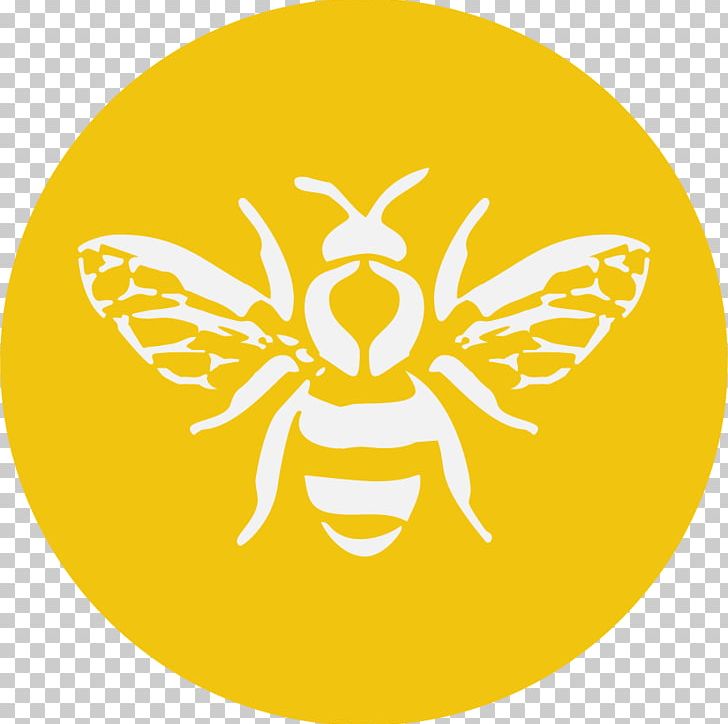 Bee Graphic Design PNG, Clipart, Bee, Bees, Butterfly, Circle, Drawing Free PNG Download
