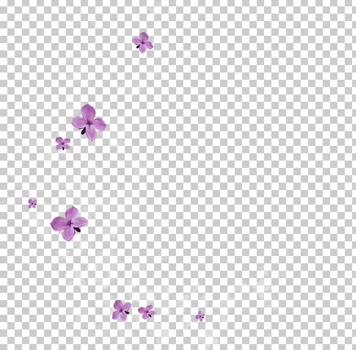 Flower Purple Petal PNG, Clipart, Body Jewelry, Computer Wallpaper, Flower, Gliter, Lavender Free PNG Download