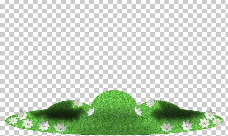 Green PNG, Clipart, Grass, Green, Organism, Others Free PNG Download