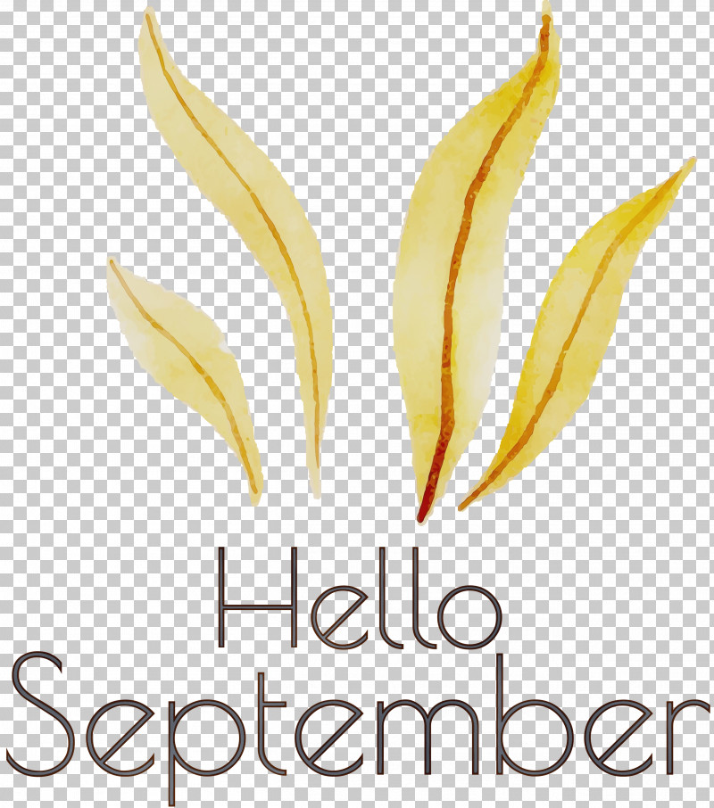 Commodity Font Garden Meter PNG, Clipart, Commodity, Garden, Hello September, Meter, Paint Free PNG Download