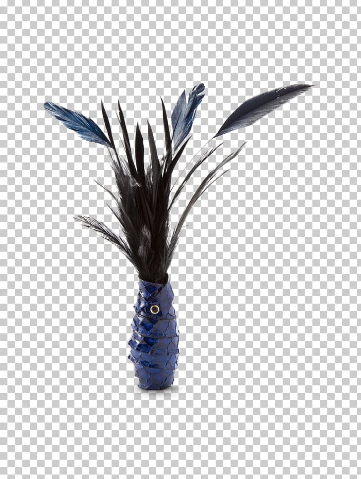 Cobalt Blue Feather PNG, Clipart, Animals, Blue, Cobalt, Cobalt Blue, Coco De Mer Free PNG Download