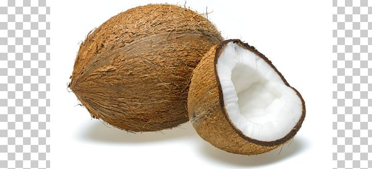 Coconut Oil Fruit Coconut Milk Powder Eggplant PNG, Clipart, Coconut, Coconut Milk Powder, Coconut Oil, Copra, Distinct Free PNG Download
