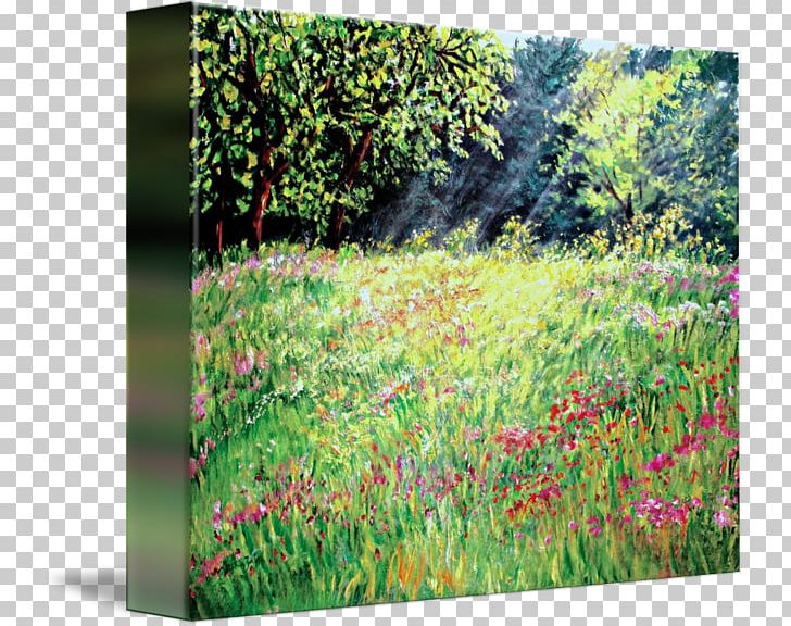 Flora Meadow Vegetation Ecosystem Painting PNG, Clipart, Afternoon, Art, Ecosystem, Field, Flora Free PNG Download