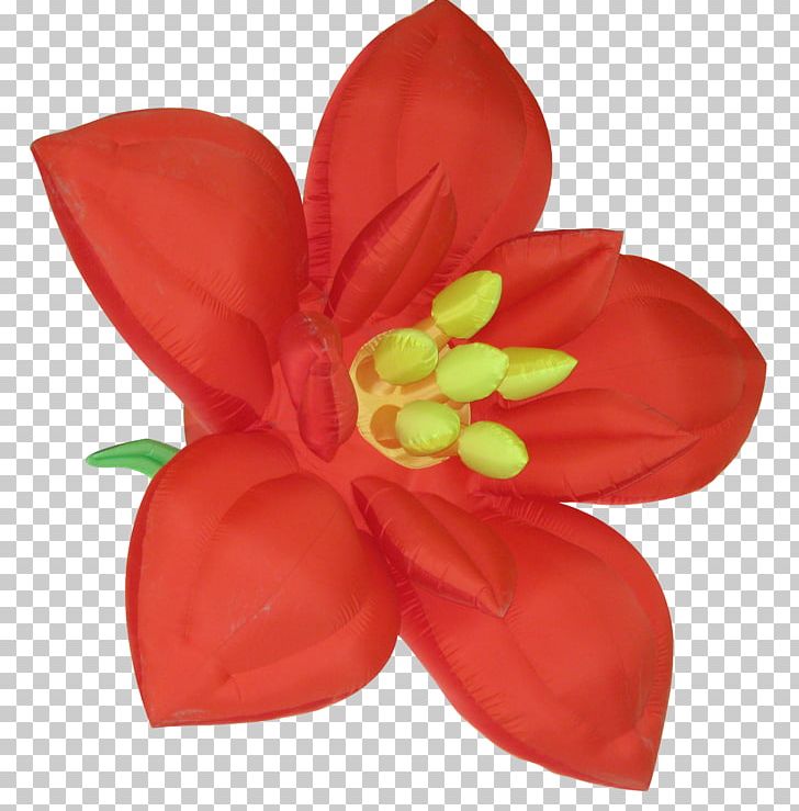 Flower Red PNG, Clipart, Color, Cut Flowers, Digital Image, Flower, Flowering Plant Free PNG Download