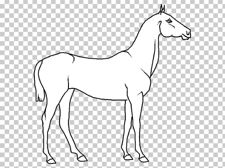 Mule Foal Stallion Bridle Colt PNG, Clipart, Anim, Artwork, Black And White, Bridle, Colt Free PNG Download
