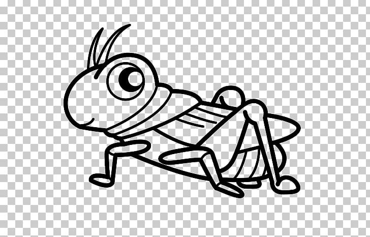 Grasshopper Cricket Drawing Coloring Book Insect PNG, Clipart, Animal, Area, Artwork, Cartoon, Cekirge Free PNG Download
