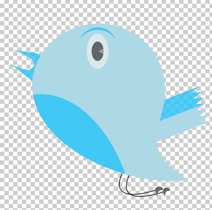 Bird Blue PNG, Clipart, Animals, Animation, Aqua, Azure, Beak Free PNG Download