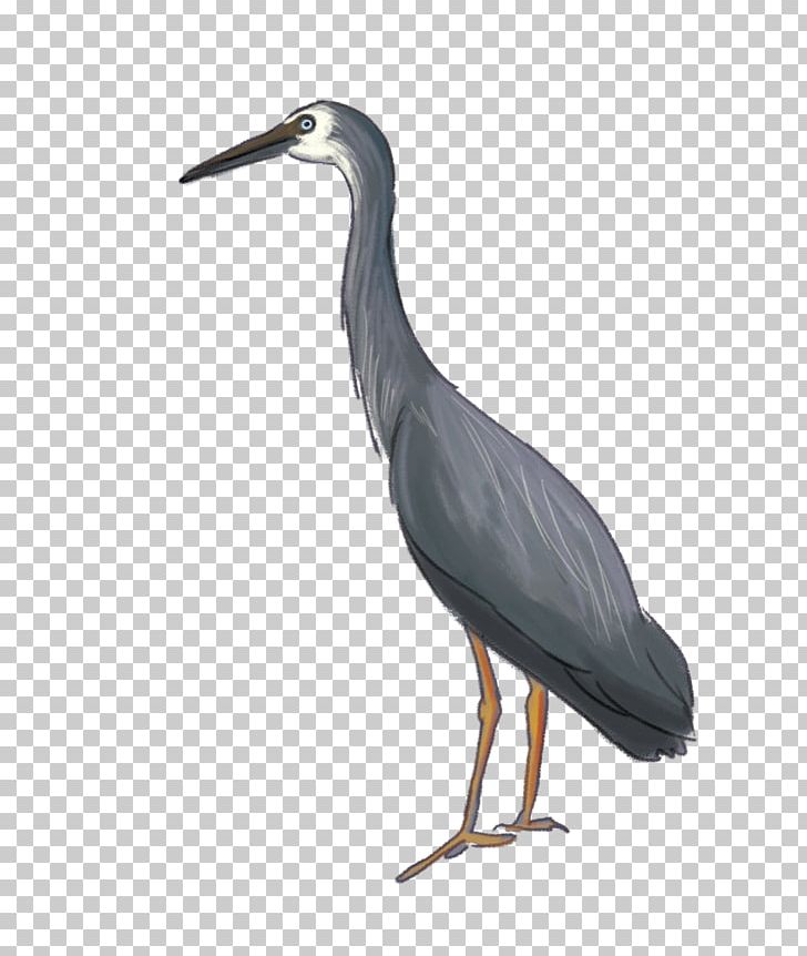 Heron Bird Desktop PNG, Clipart, Animals, Beak, Bird, Ciconiiformes, Crane Free PNG Download