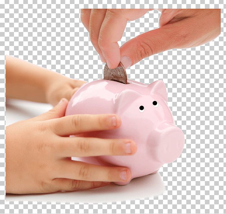 Saving Money Bank Finance Investment Fund PNG, Clipart, Bank, Budget, Finance, Financial Services, Income Free PNG Download
