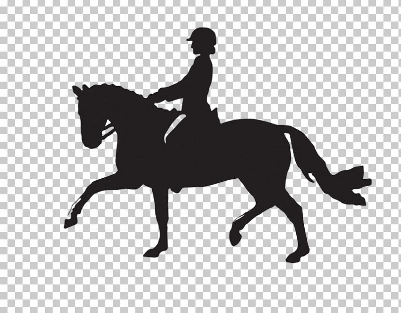 Horse English Riding Equestrianism Bridle Animal Sports PNG, Clipart, Animal Sports, Bridle, Dressage, English Riding, Equestrianism Free PNG Download