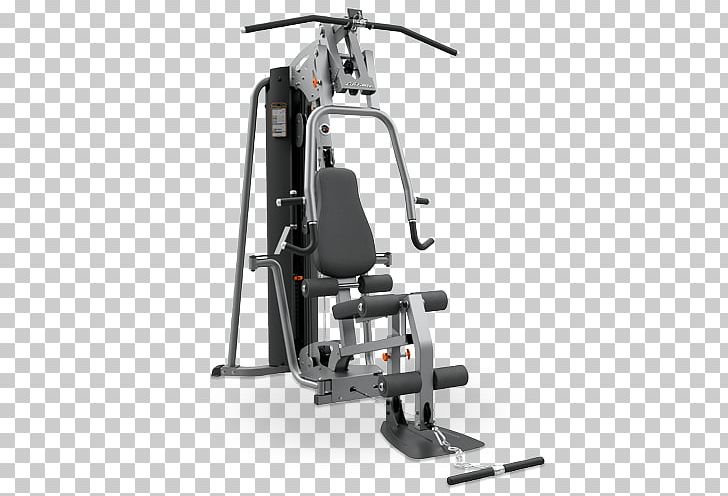 Fitness Centre Strength Training Exercise Equipment Life Fitness PNG, Clipart, Calf Raises, Exercise, Exercise Machine, Fitness Centre, Gym Free PNG Download
