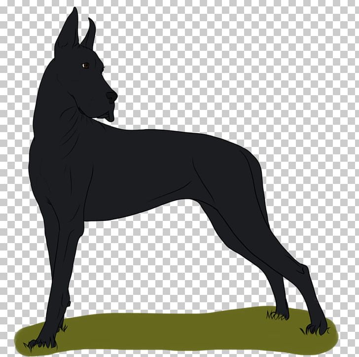 Great Dane Dog Breed Non-sporting Group Breed Group (dog) PNG, Clipart, Black, Black And White, Breed, Breed Group Dog, Carnivoran Free PNG Download