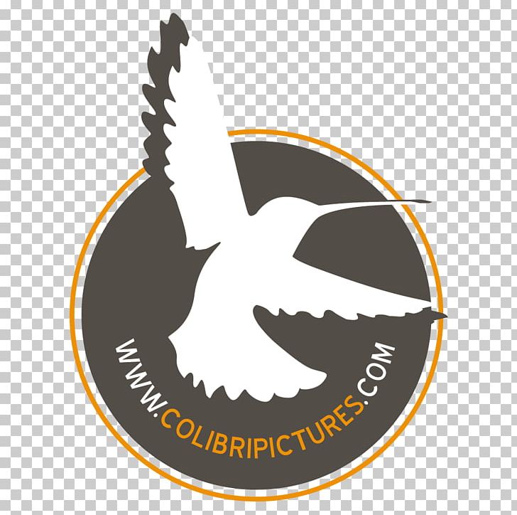 Logo Beak Font Brand PNG, Clipart, Beak, Brand, Logo, Others, Symbol Free PNG Download