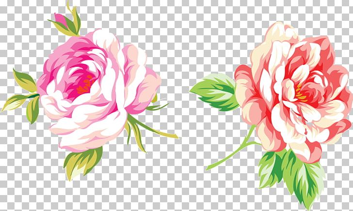 Mother's Day Holiday Birthday Gift Ansichtkaart PNG, Clipart, Carnation, Child, Cut Flowers, Daytime, Floral Design Free PNG Download