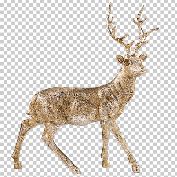 Reindeer White-tailed Deer Elk Antler PNG, Clipart, Animal, Animal Figure, Antler, Cartoon, Deer Free PNG Download