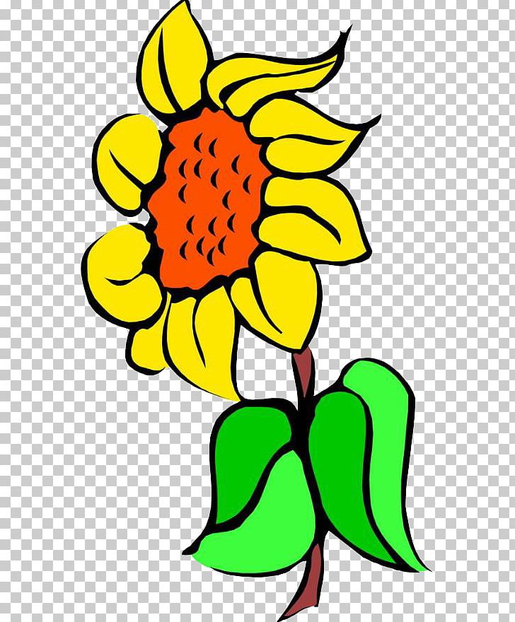 Common Sunflower PNG, Clipart, Common Sunflower, Flower, Flowers, Leaf, Leaves Free PNG Download