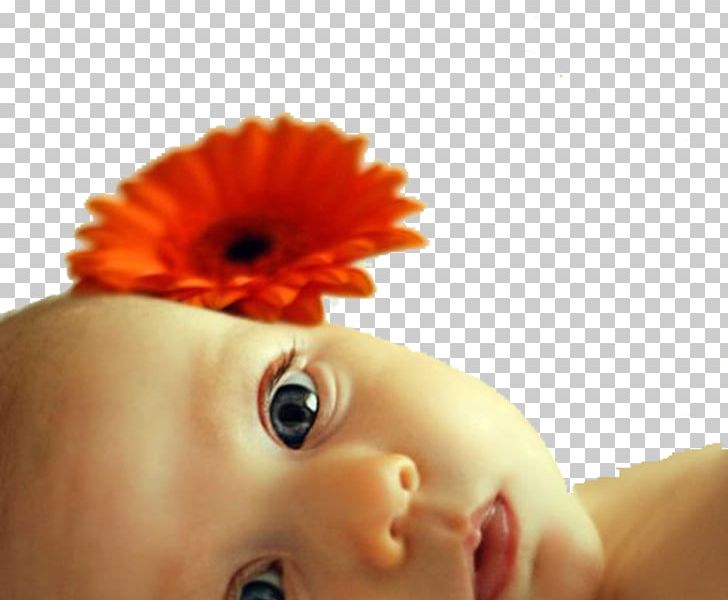 Infant Child Cheek Toddler Painting PNG, Clipart, Bebek, Cheek, Child, Closeup, Ear Free PNG Download