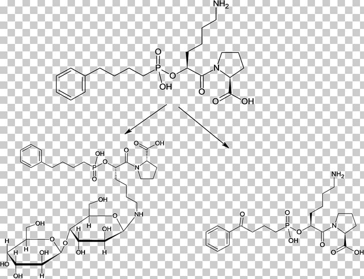 Lactose Excipient Pharmaceutical Drug Amlodipine Cetirizine PNG, Clipart, Amlodipine, Angle, Area, Auto Part, Black And White Free PNG Download