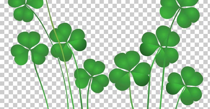 Saint Patrick's Day St. Patrick's Day Shamrocks Ireland PNG, Clipart,  Free PNG Download
